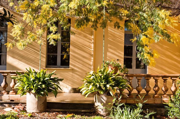 Les Buis Bed & Breakfast อิล-ซูร์-เตต์ ภายนอก รูปภาพ
